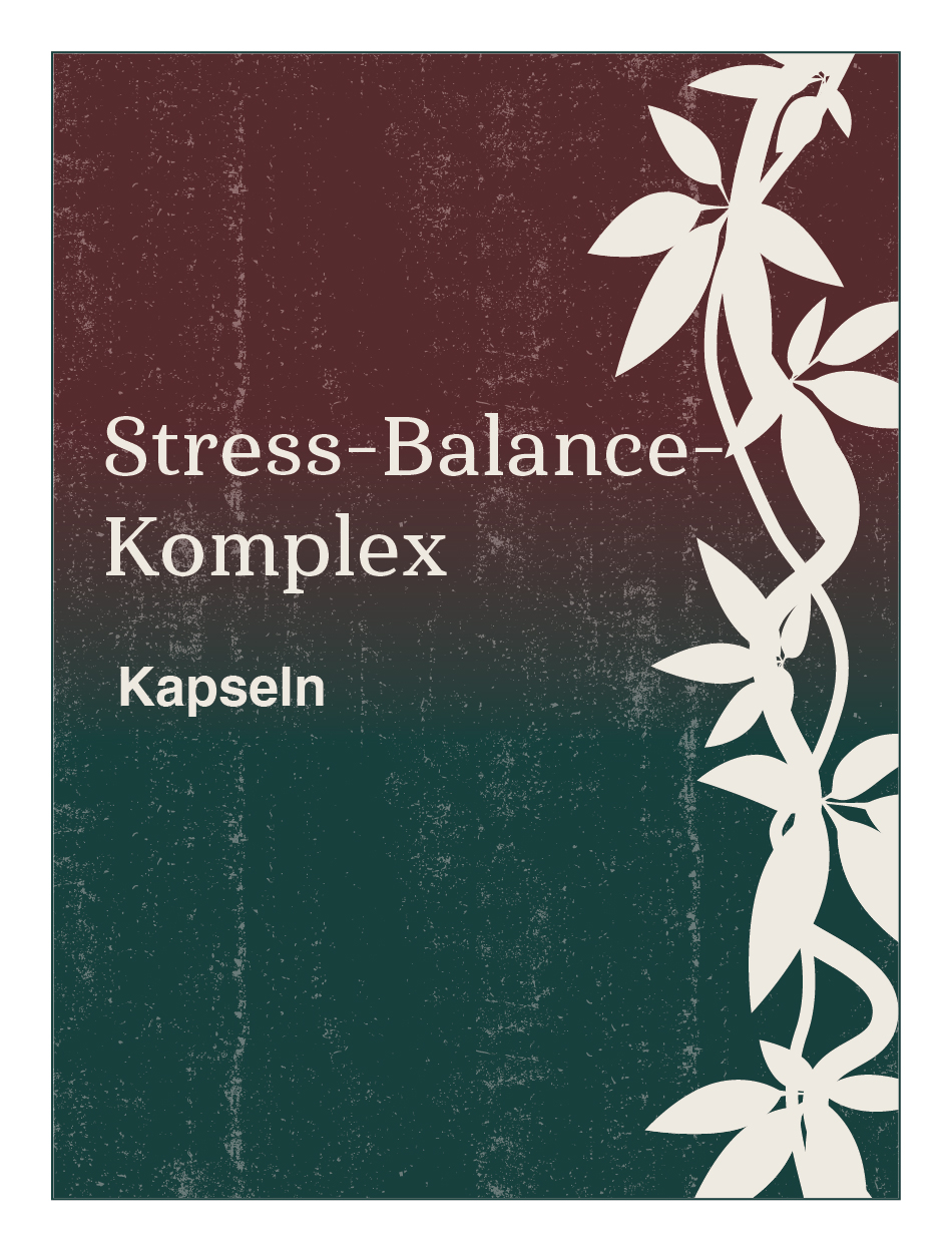 Stress-Balance-Komplex