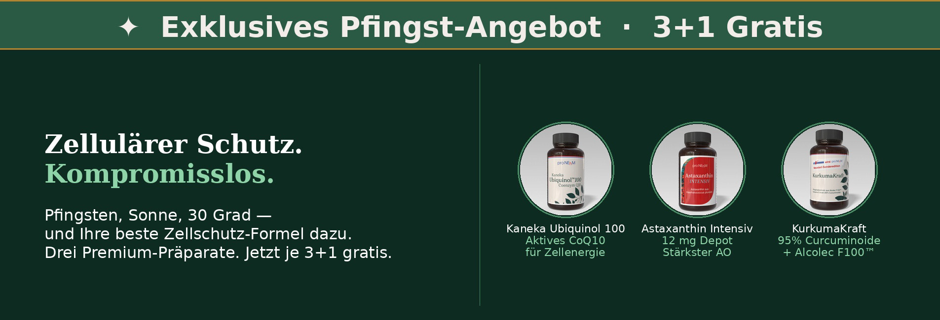 Pfingst-Aktion